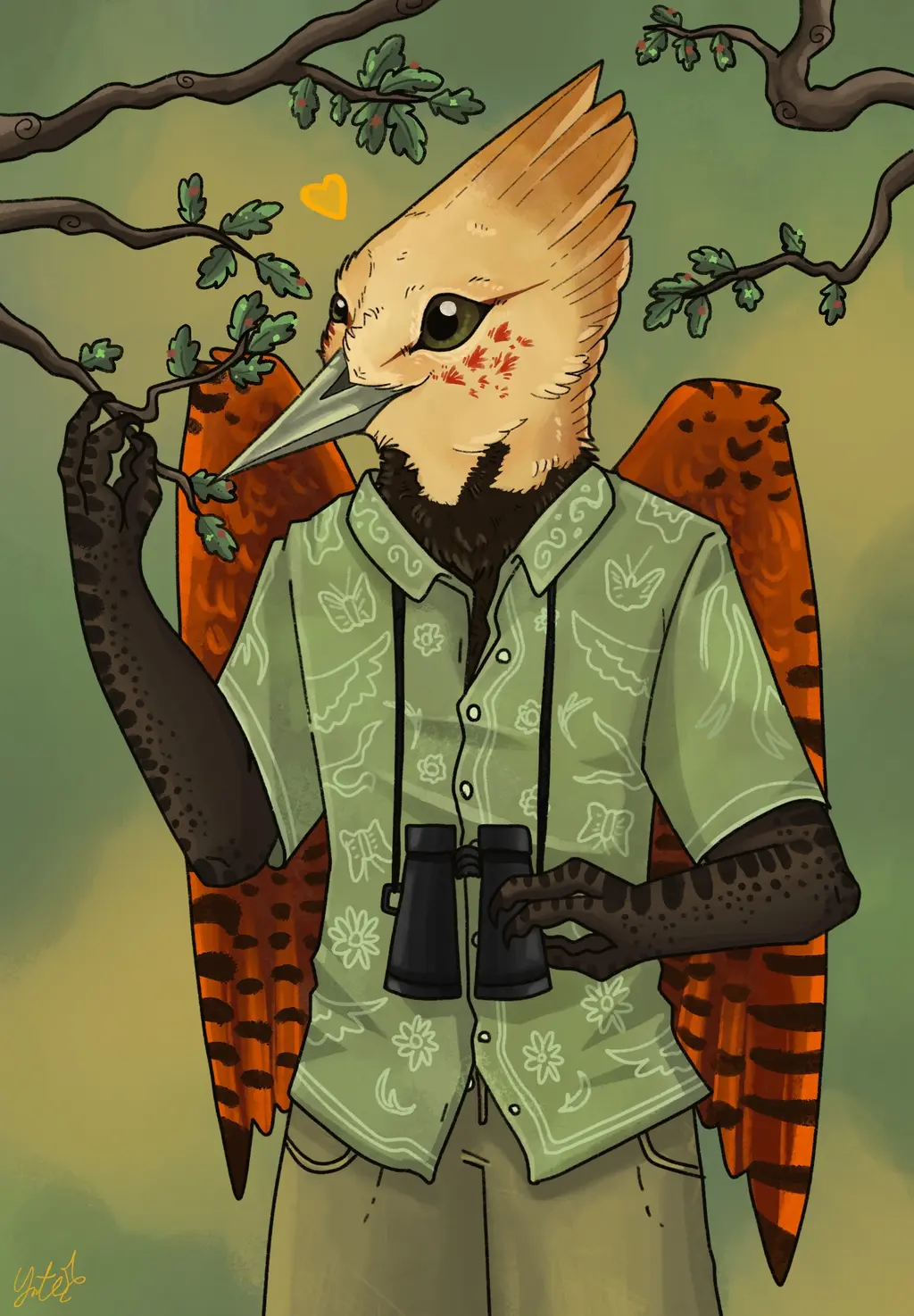 A drawing of a ringed woodpecker anthro looking at blue oak galls.